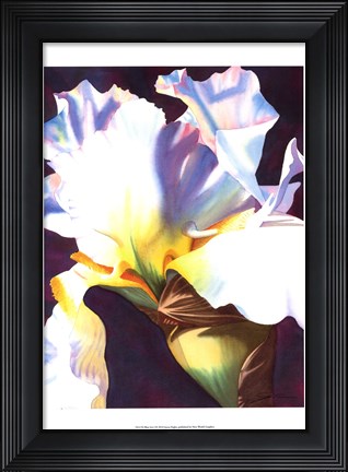 Framed Blue Iris I Print