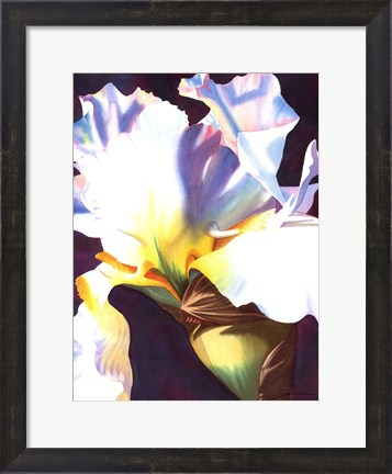 Framed Blue Iris I Print