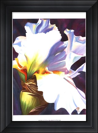 Framed Blue Iris II Print