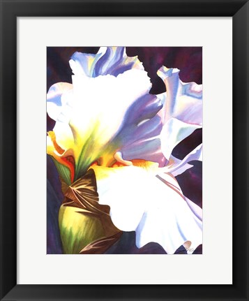 Framed Blue Iris II Print