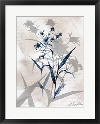 Framed Indigo Bloom IV Print