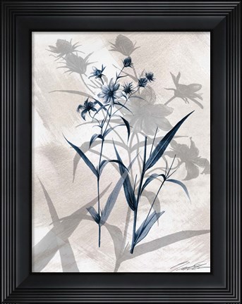 Framed Indigo Bloom IV Print
