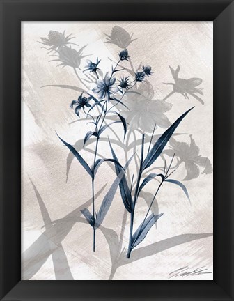 Framed Indigo Bloom IV Print