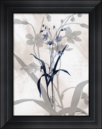 Framed Indigo Bloom III Print