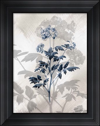 Framed Indigo Bloom II Print