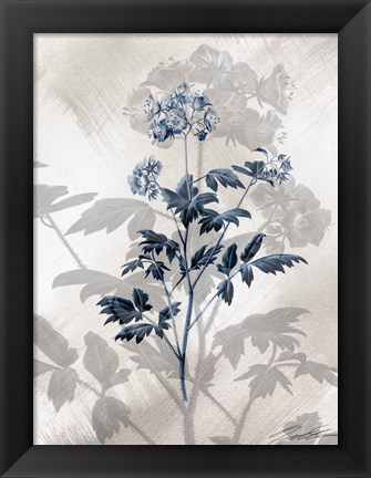 Framed Indigo Bloom II Print