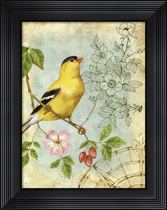 Framed Songbird Sketchbook III Print