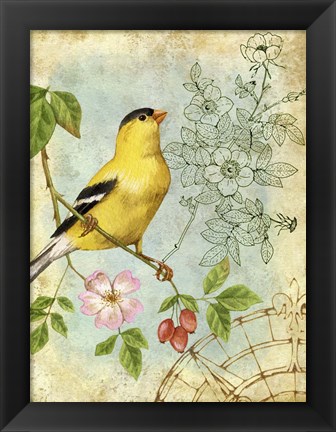 Framed Songbird Sketchbook III Print