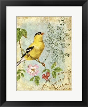 Framed Songbird Sketchbook III Print