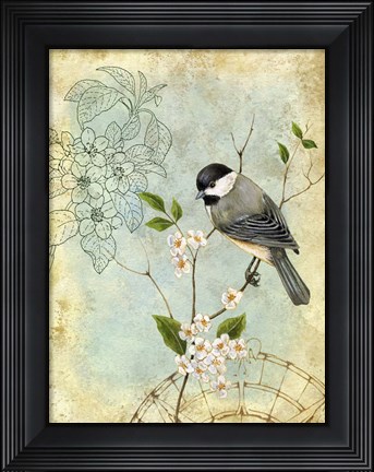 Framed Songbird Sketchbook II Print