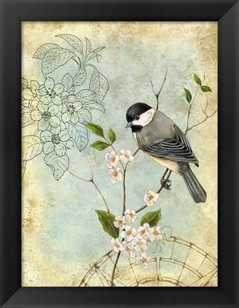 Framed Songbird Sketchbook II Print