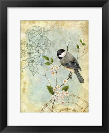 Framed Songbird Sketchbook II Print