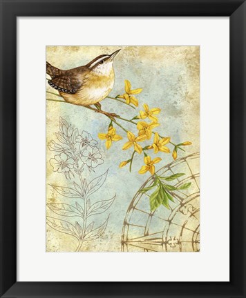 Framed Songbird Sketchbook I Print