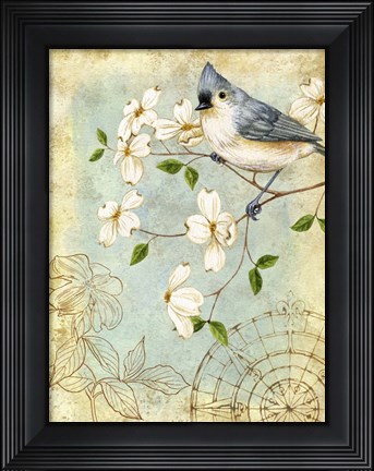 Framed Songbird Sketchbook IV Print