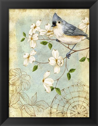 Framed Songbird Sketchbook IV Print