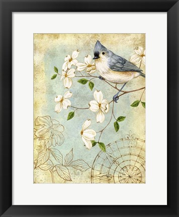 Framed Songbird Sketchbook IV Print