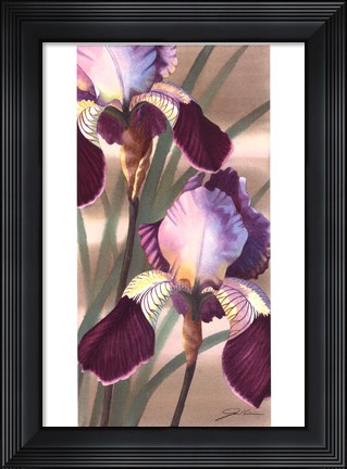 Framed Asian Iris II Print