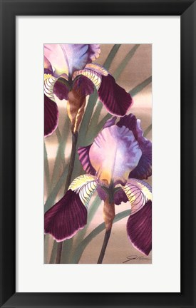 Framed Asian Iris II Print