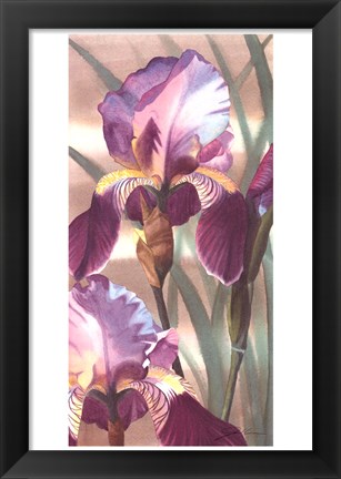 Framed Asian Iris I Print