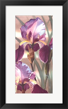 Framed Asian Iris I Print