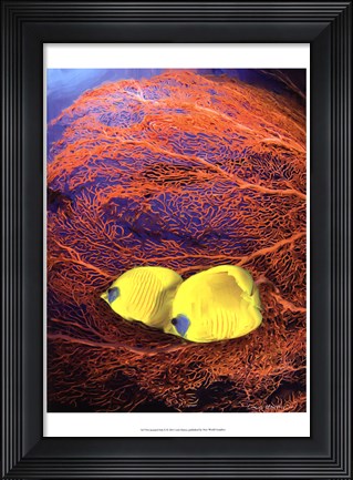Framed Jeweled Fish II Print