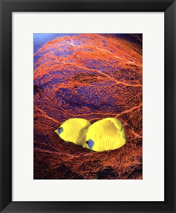 Framed Jeweled Fish II Print