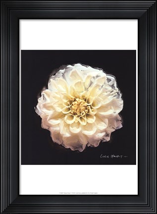 Framed Vibrant Flower V Print