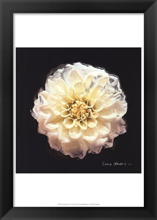 Framed Vibrant Flower V Print