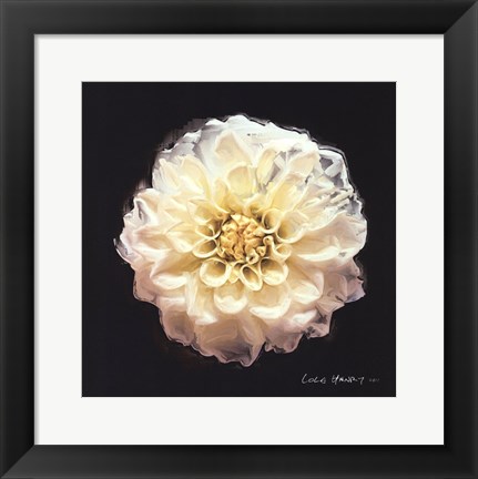 Framed Vibrant Flower V Print