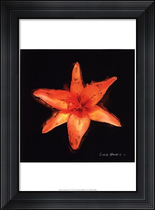 Framed Vibrant Flower VI Print