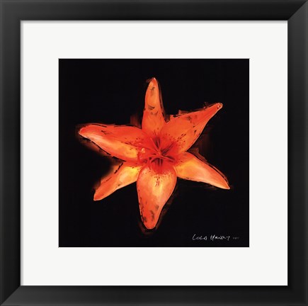 Framed Vibrant Flower VI Print