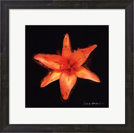 Framed Vibrant Flower VI Print