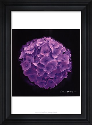 Framed Vibrant Flower I Print