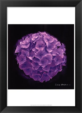 Framed Vibrant Flower I Print