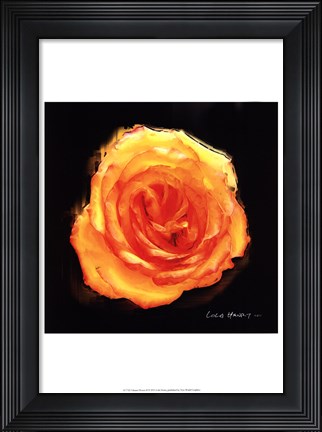 Framed Vibrant Flower II Print