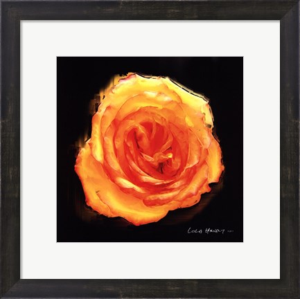 Framed Vibrant Flower II Print