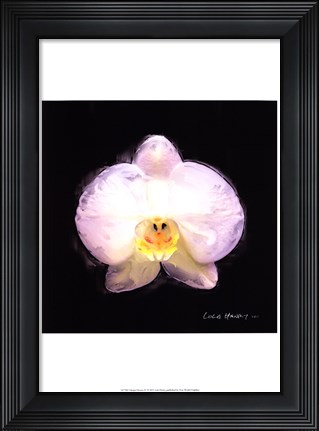 Framed Vibrant Flower IV Print