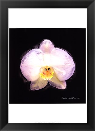 Framed Vibrant Flower IV Print