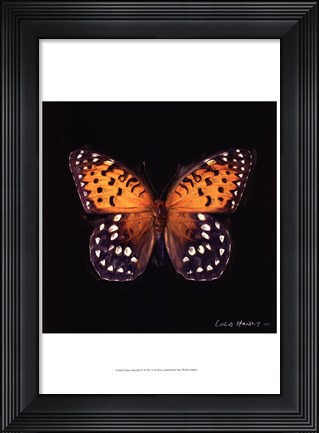 Framed Techno Butterfly IV Print