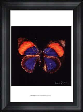 Framed Techno Butterfly III Print