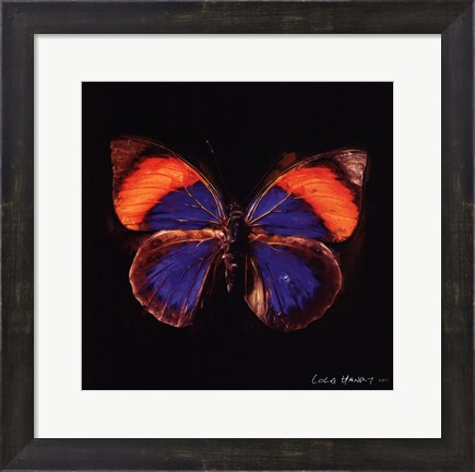 Framed Techno Butterfly III Print