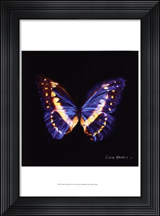 Framed Techno Butterfly II Print