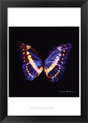 Framed Techno Butterfly II Print