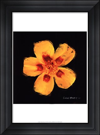 Framed Vibrant Flower X Print