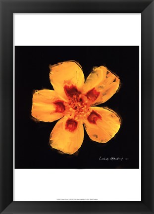 Framed Vibrant Flower X Print