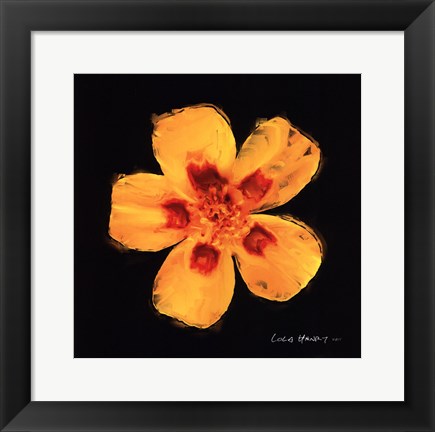 Framed Vibrant Flower X Print