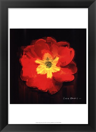 Framed Vibrant Flower IX Print