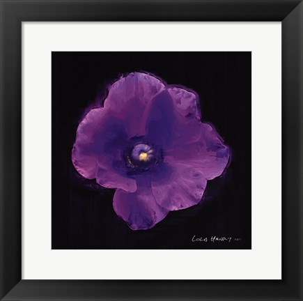 Framed Vibrant Flower VIII Print