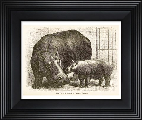 Framed Adhela and Guy Fawkes 1873 Print