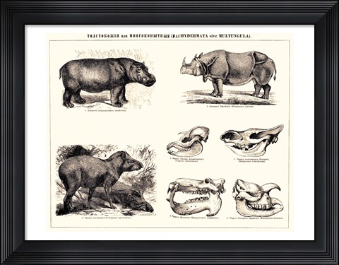 Framed Brockhaus and Efron Encyclopedic Dictionary Print